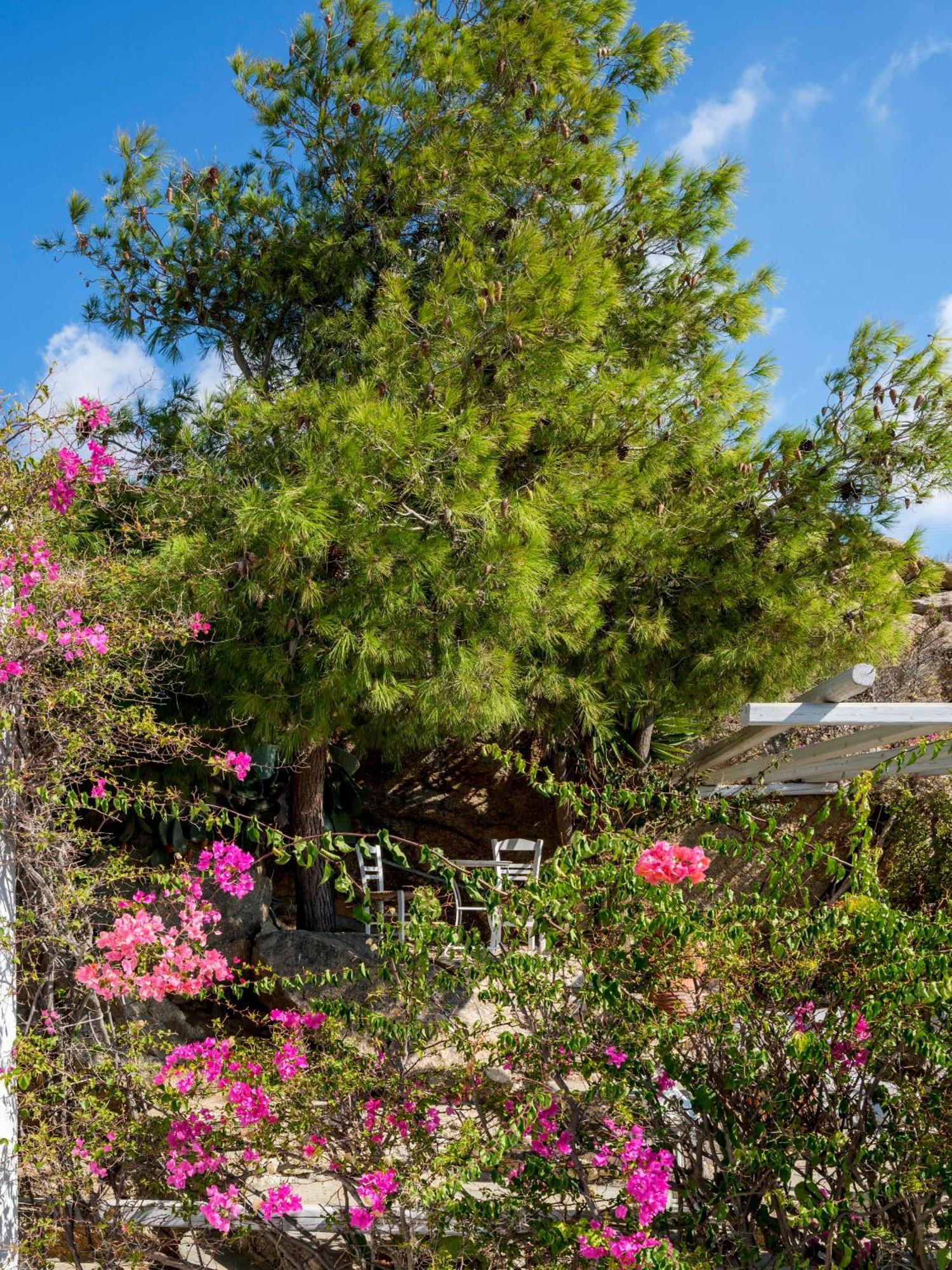 Baybees Sea View Residence بلاتيس يالوس المظهر الخارجي الصورة
